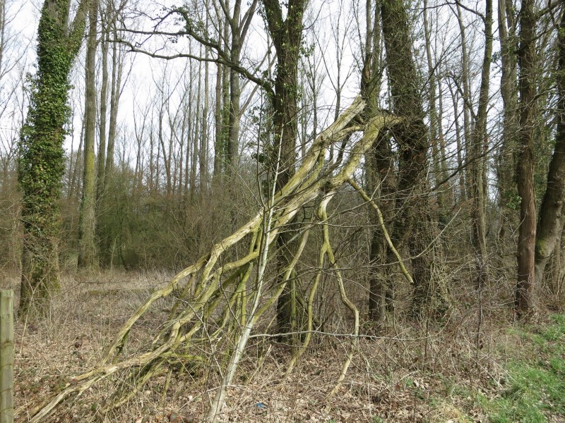 Zwei-Seen-Runde