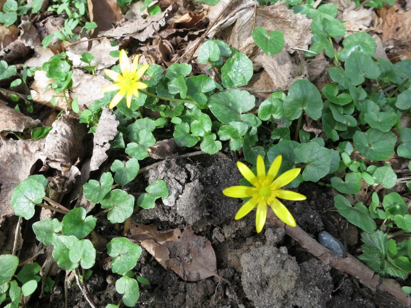 Zwei-Seen-Runde