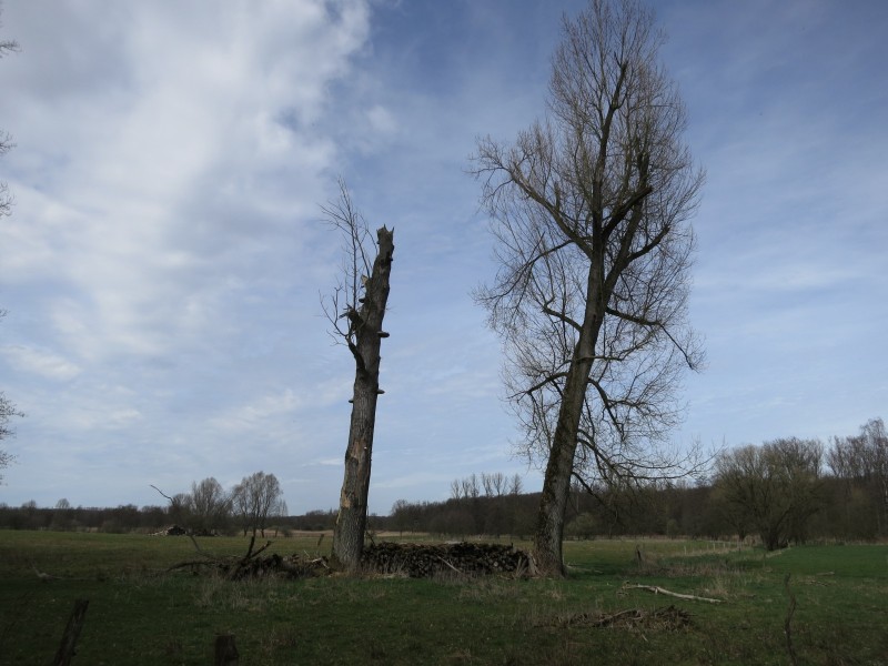 Zwei-Seen-Runde