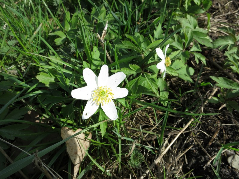 Zwei-Seen-Runde