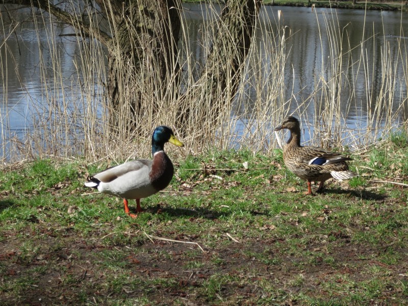 Zwei-Seen-Runde