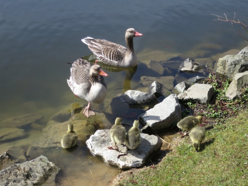 Zwei-Seen-Runde